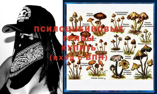 дживик Карталы
