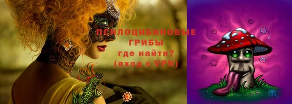 дживик Карталы