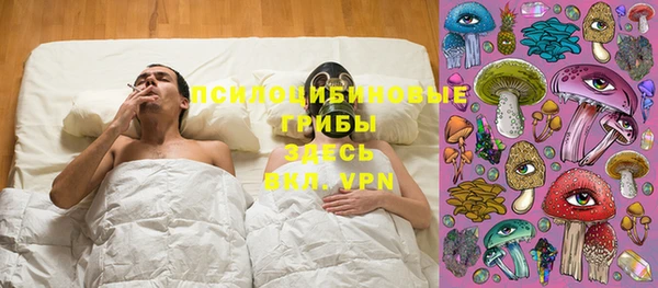 дживик Карталы