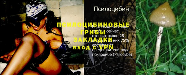 дживик Карталы