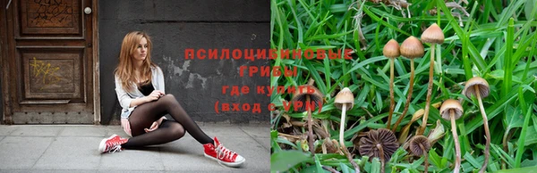 а пвп мука Касимов