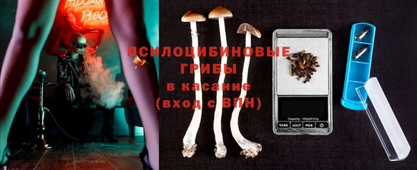 дживик Карталы