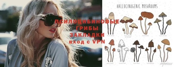 дживик Карталы