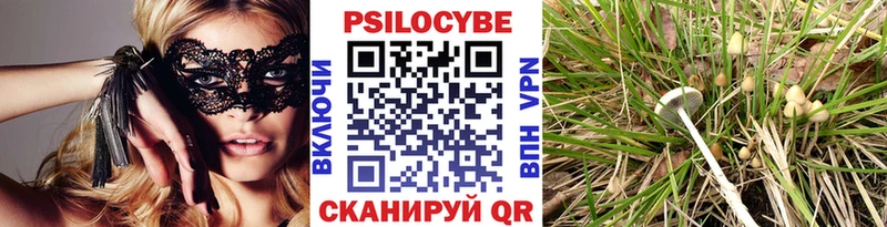 Купить Мещовск Галлюциногенные грибы прущие грибы